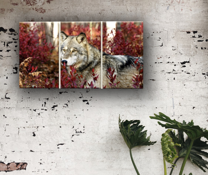 🐺 Quadro Lupo XXL – Potenza, Mistero e Libertà in un’Opera d’Arte Moderna
