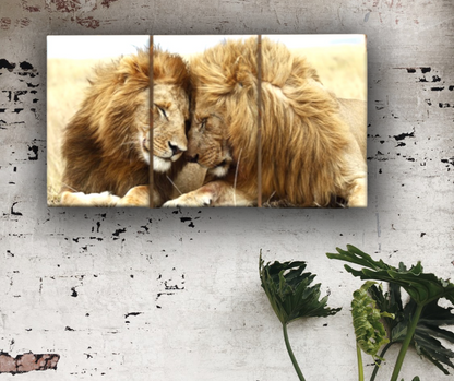 🦁 Quadri Leoni innamorati XXL – Forza, Eleganza e Natura Selvaggia su Tela