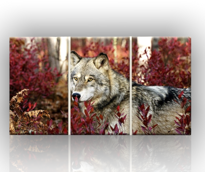 🐺 Quadro Lupo XXL – Potenza, Mistero e Libertà in un’Opera d’Arte Moderna
