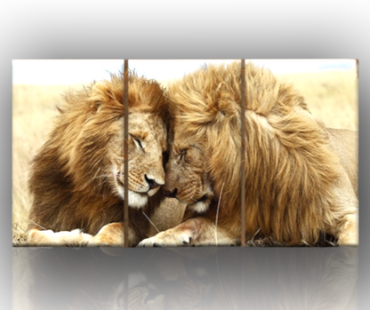 🦁 Quadri Leoni innamorati XXL – Forza, Eleganza e Natura Selvaggia su Tela