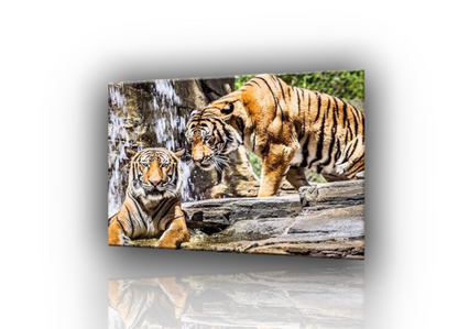 🐯 Quadri Tigri – Eleganza Selvaggia in Stile Realistico